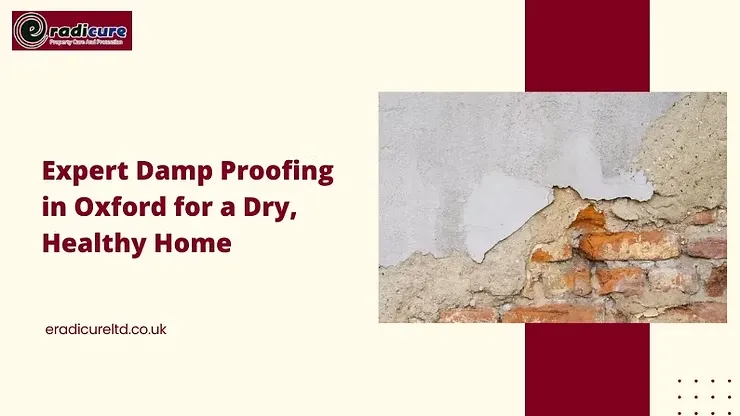 Major Causes Of Rising Damp In Internal Walls: How To Fix It?